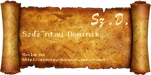 Szántay Dominik névjegykártya